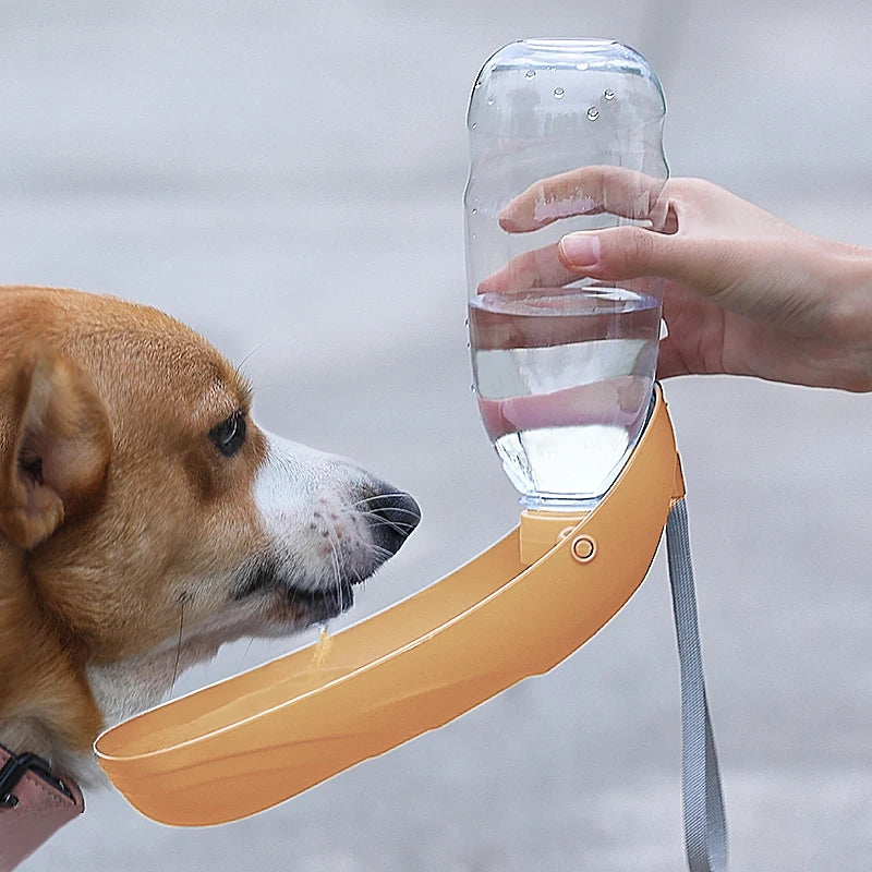 Portable Dog Water Bottle