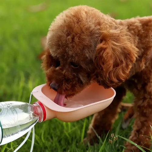 Dog Travel Water Bottle