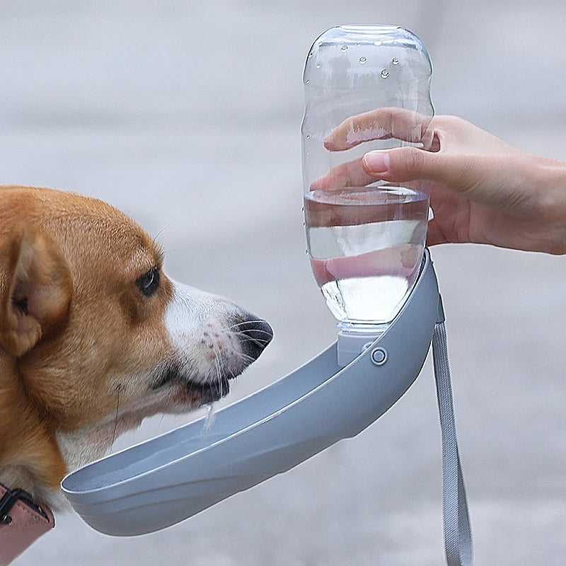 Portable Dog Water Bottle