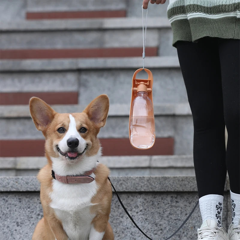 Portable Dog Water Bottle