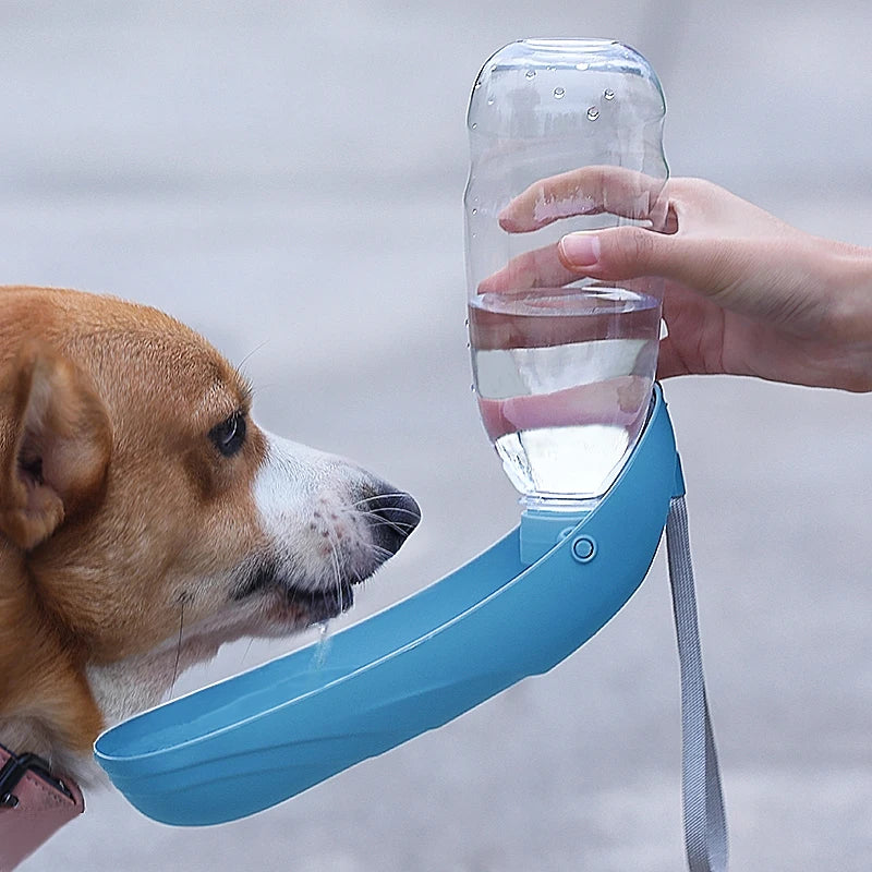 Portable Dog Water Bottle